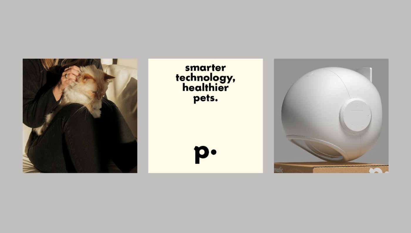 Petnology品牌设计应用