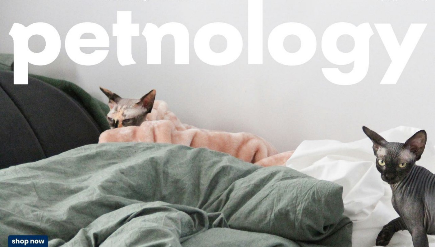 Petnology品牌设计应用